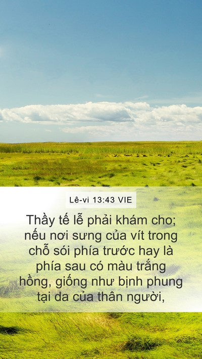 Lê-vi 13:43 VIE Bible Verse Image