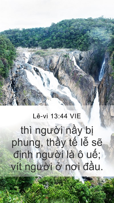 Lê-vi 13:44 VIE Bible Verse Image