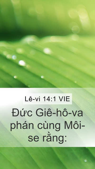 Lê-vi 14:1 VIE Bible Verse Image