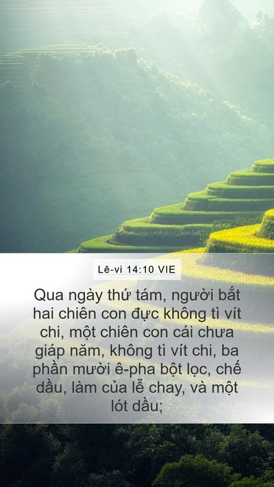 Lê-vi 14:10 VIE Bible Verse Image