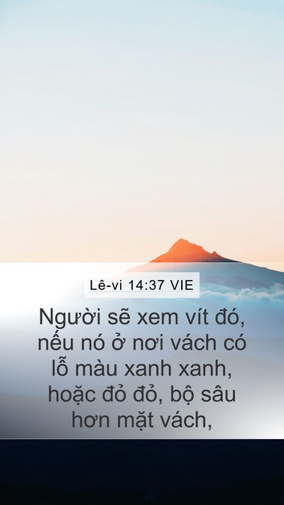 Lê-vi 14:37 VIE Mobile Phone Wallpaper - Người sẽ xem vít đó, nếu nó ở nơi - Mobile Bible Verse Wallpaper