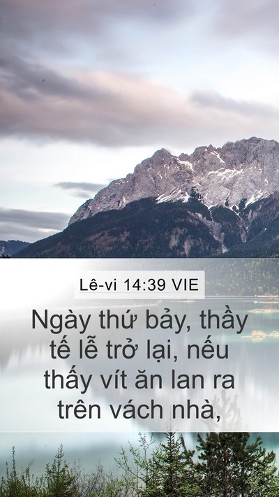 Lê-vi 14:39 VIE Mobile Phone Wallpaper - Ngày thứ bảy, thầy tế lễ trở lại, - Mobile Bible Verse Wallpaper
