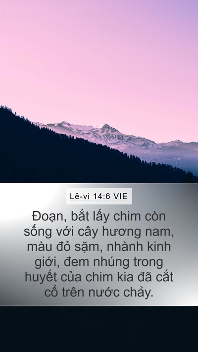 Lê-vi 14:6 VIE Bible Verse Image