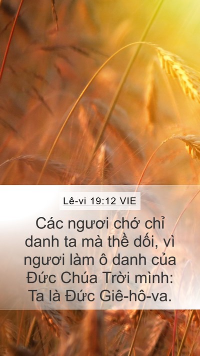 Lê-vi 19:12 VIE Bible Verse Image