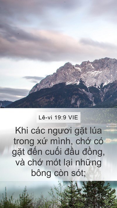 Lê-vi 19:9 VIE Bible Verse Image