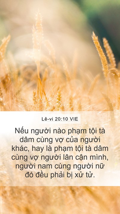 Lê-vi 20:10 VIE Bible Verse Image