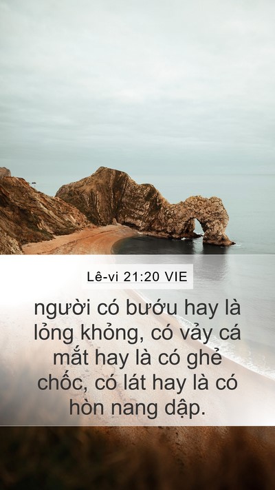 Lê-vi 21:20 VIE Bible Verse Image