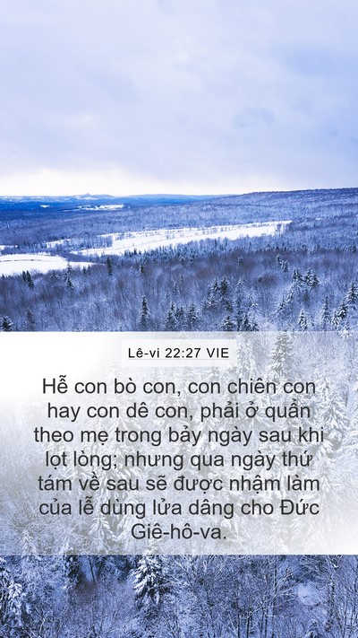 Lê-vi 22:27 VIE Mobile Phone Wallpaper - Hễ con bò con, con chiên con hay con dê con, - Mobile Bible Verse Wallpaper