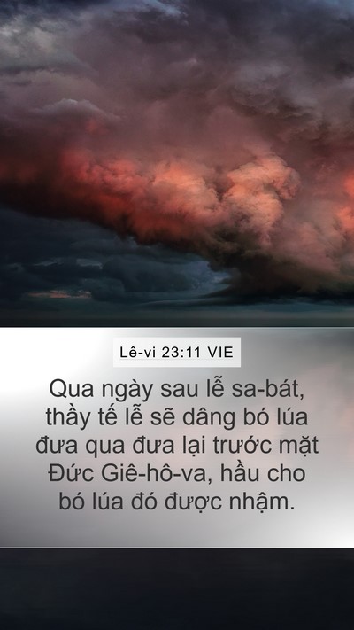 Lê-vi 23:11 VIE Mobile Phone Wallpaper - Qua ngày sau lễ sa-bát, thầy tế lễ sẽ - Mobile Bible Verse Wallpaper