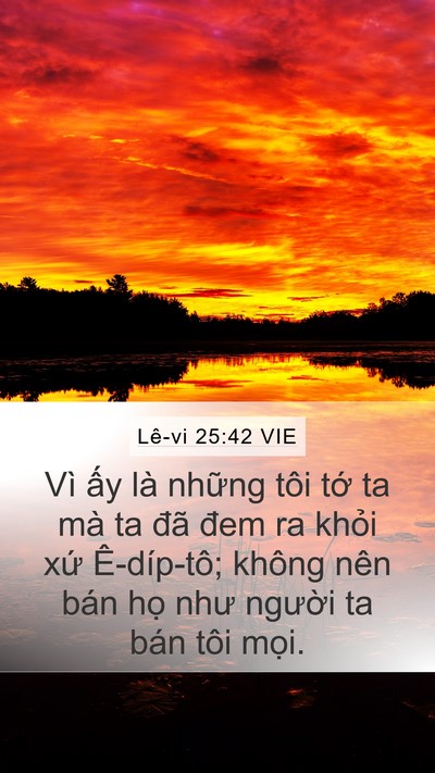 Lê-vi 25:42 VIE Bible Verse Image