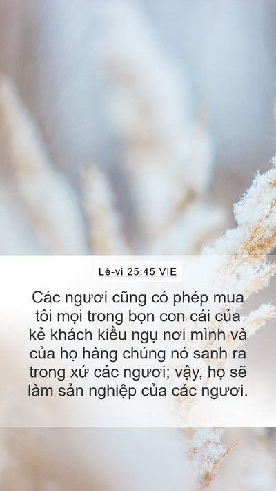 Lê-vi 25:45 VIE Mobile Phone Wallpaper - Các ngươi cũng có phép mua tôi mọi trong - Mobile Bible Verse Wallpaper