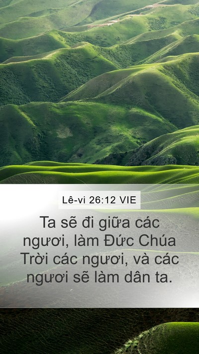 Lê-vi 26:12 VIE Bible Verse Image