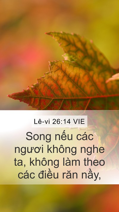 Lê-vi 26:14 VIE Bible Verse Image