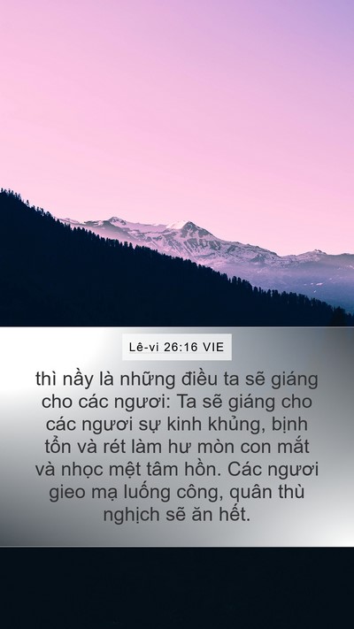 Lê-vi 26:16 VIE Bible Verse Image