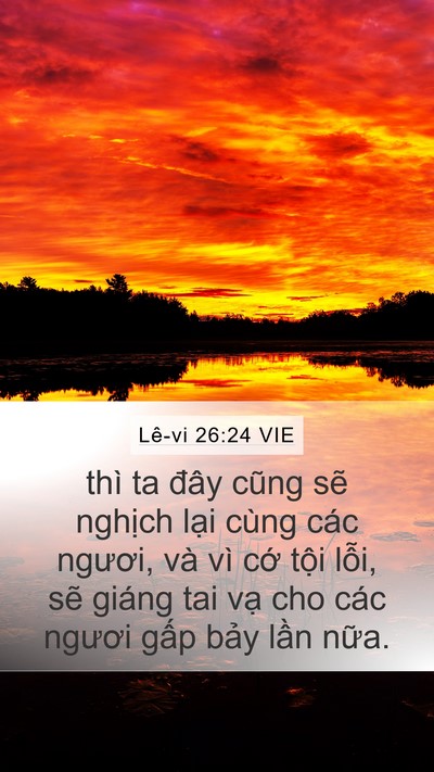 Lê-vi 26:24 VIE Bible Verse Image