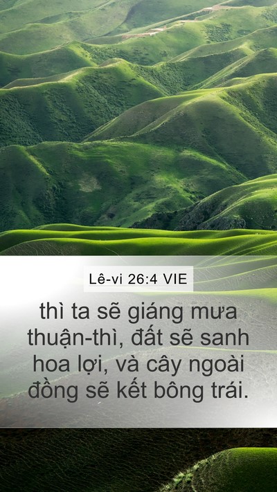 Lê-vi 26:4 VIE Bible Verse Image