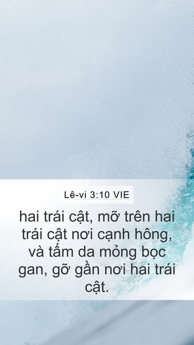 Lê-vi 3:10 VIE Mobile Phone Wallpaper - hai trái cật, mỡ trên hai trái cật nơi - Mobile Bible Verse Wallpaper