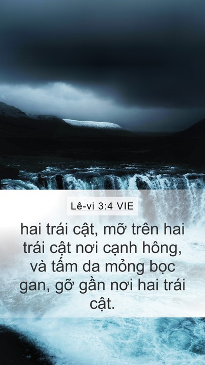 Lê-vi 3:4 VIE Bible Verse Image