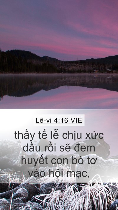 Lê-vi 4:16 VIE Bible Verse Image