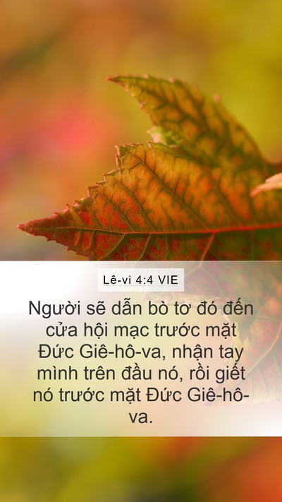 Lê-vi 4:4 VIE Bible Verse Image