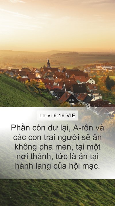 Lê-vi 6:16 VIE Bible Verse Image