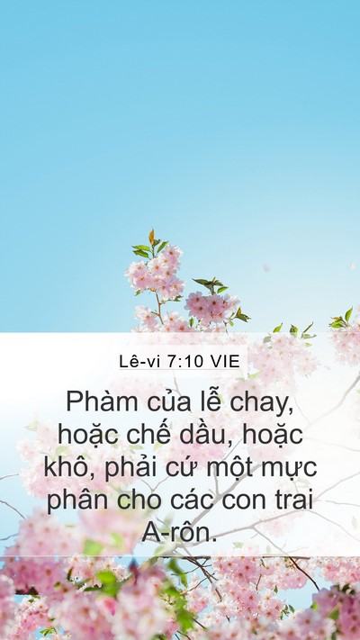 Lê-vi 7:10 VIE Mobile Phone Wallpaper - Phàm của lễ chay, hoặc chế dầu, hoặc - Mobile Bible Verse Wallpaper