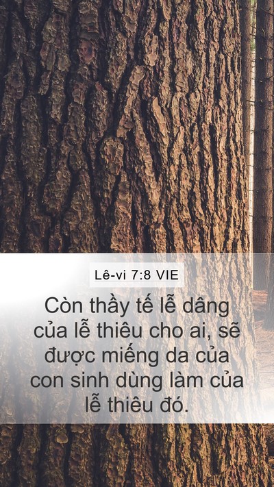 Lê-vi 7:8 VIE Mobile Phone Wallpaper - Còn thầy tế lễ dâng của lễ thiêu cho - Mobile Bible Verse Wallpaper