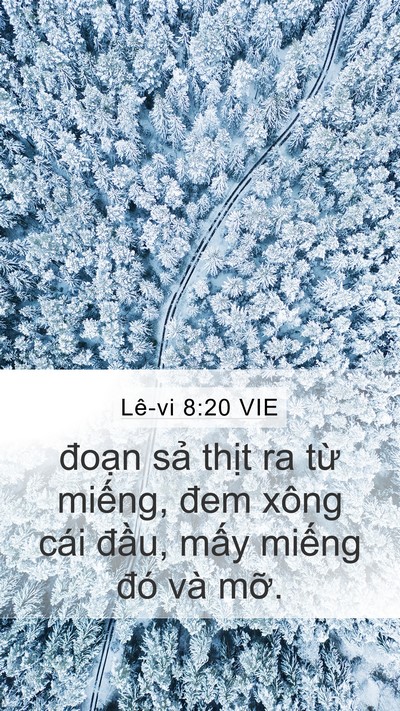 Lê-vi 8:20 VIE Mobile Phone Wallpaper - đoạn sả thịt ra từ miếng, đem xông - Mobile Bible Verse Wallpaper