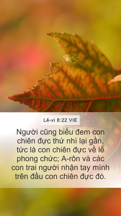 Lê-vi 8:22 VIE Bible Verse Image