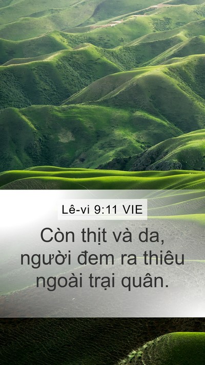 Lê-vi 9:11 VIE Mobile Phone Wallpaper - Còn thịt và da, người đem ra thiêu - Mobile Bible Verse Wallpaper