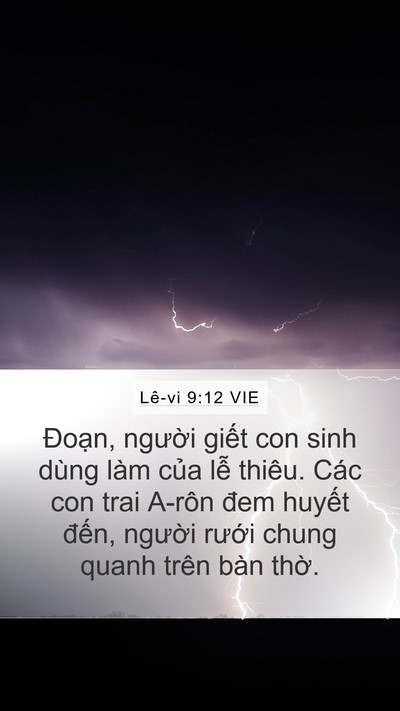 Lê-vi 9:12 VIE Mobile Phone Wallpaper - Đoạn, người giết con sinh dùng làm - Mobile Bible Verse Wallpaper