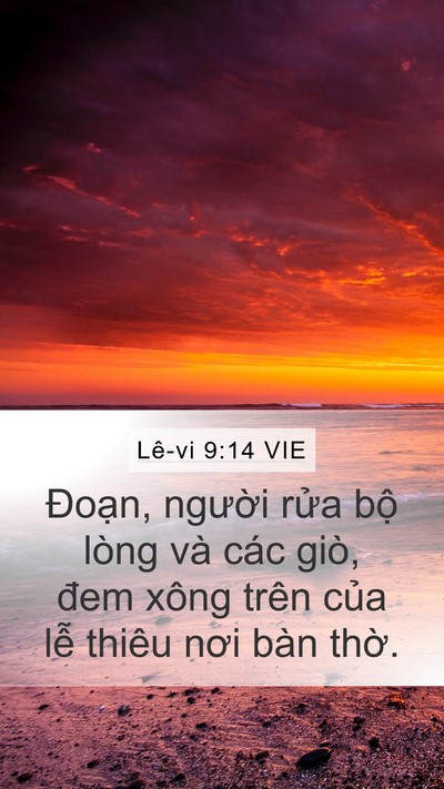 Lê-vi 9:14 VIE Mobile Phone Wallpaper - Đoạn, người rửa bộ lòng và các giò, - Mobile Bible Verse Wallpaper