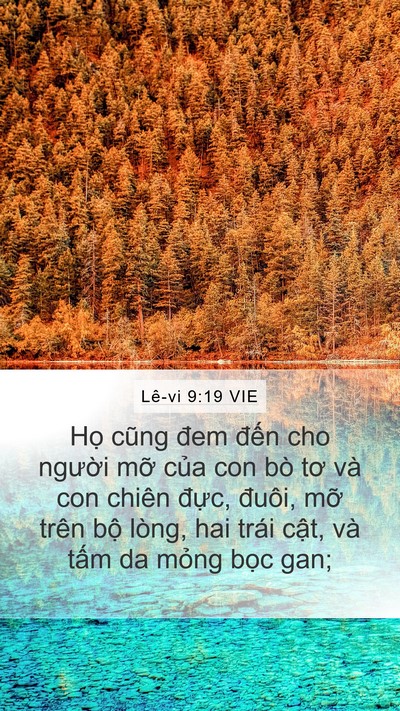 Lê-vi 9:19 VIE Bible Verse Image