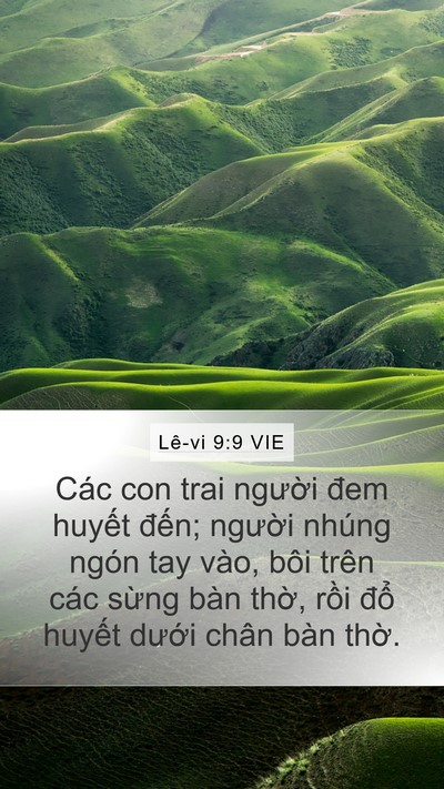 Lê-vi 9:9 VIE Bible Verse Image