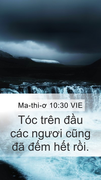 Ma-thi-ơ 10:30 VIE Bible Verse Image