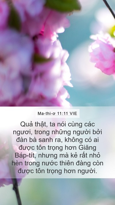 Ma-thi-ơ 11:11 VIE Bible Verse Image