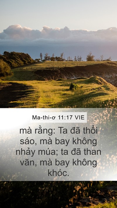 Ma-thi-ơ 11:17 VIE Bible Verse Image