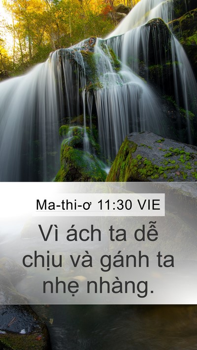 Ma-thi-ơ 11:30 VIE Mobile Phone Wallpaper - Vì ách ta dễ chịu và gánh ta nhẹ - Mobile Bible Verse Wallpaper