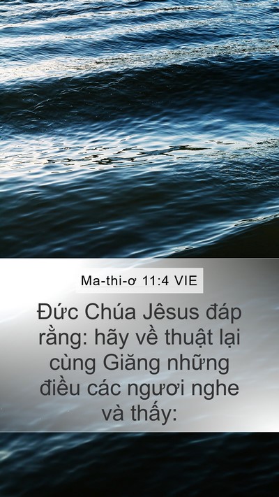 Ma-thi-ơ 11:4 VIE Bible Verse Image