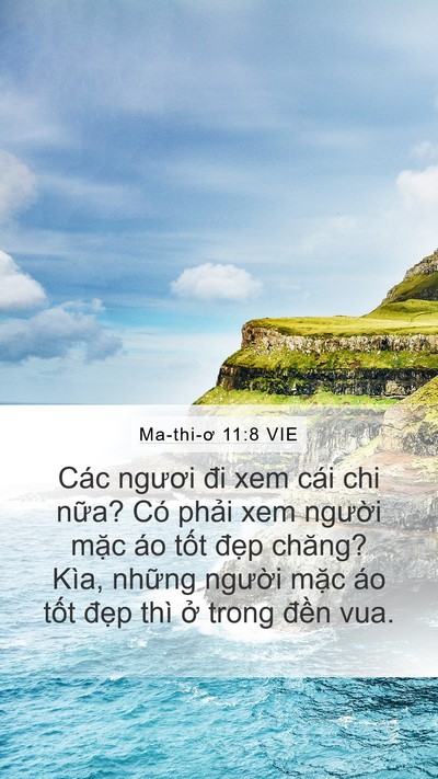 Ma-thi-ơ 11:8 VIE Bible Verse Image