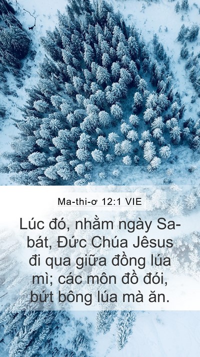 Ma-thi-ơ 12:1 VIE Bible Verse Image