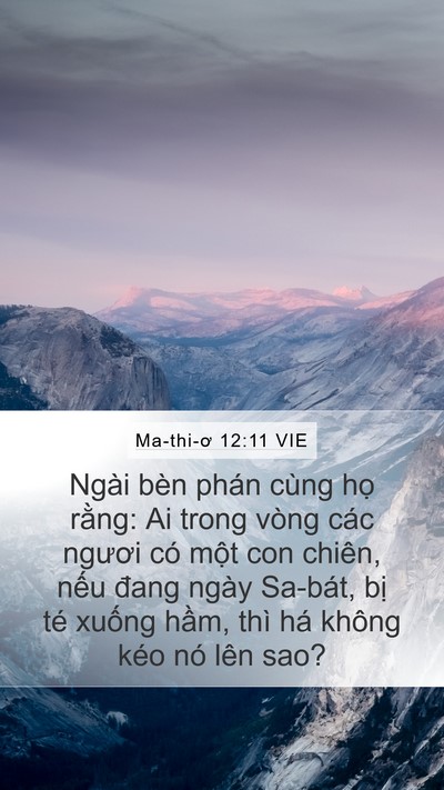 Ma-thi-ơ 12:11 VIE Bible Verse Image