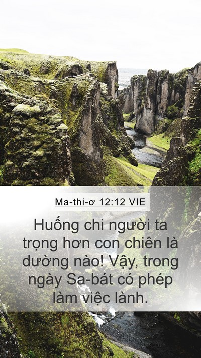 Ma-thi-ơ 12:12 VIE Bible Verse Image