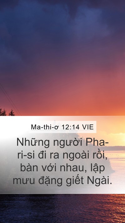 Ma-thi-ơ 12:14 VIE Bible Verse Image
