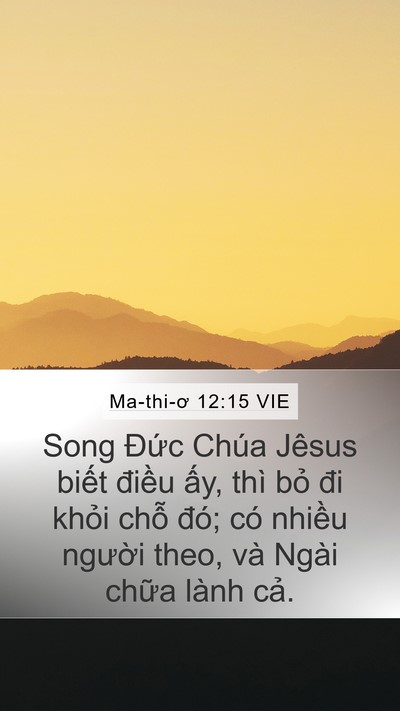 Ma-thi-ơ 12:15 VIE Bible Verse Image