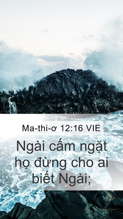 Ma-thi-ơ 12:16 VIE Bible Verse Image