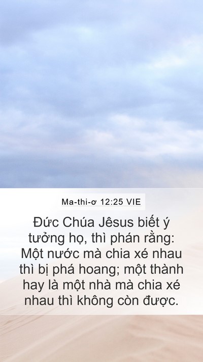 Ma-thi-ơ 12:25 VIE Bible Verse Image