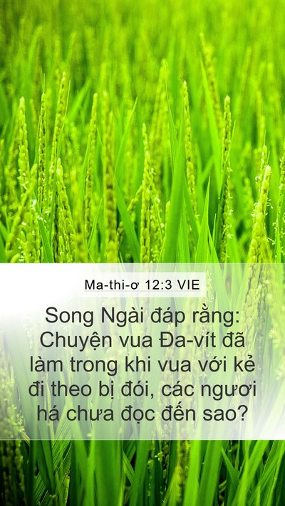 Ma-thi-ơ 12:3 VIE Bible Verse Image