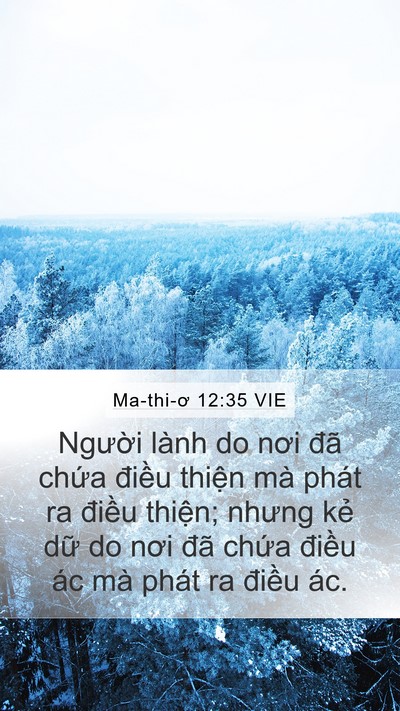 Ma-thi-ơ 12:35 VIE Bible Verse Image