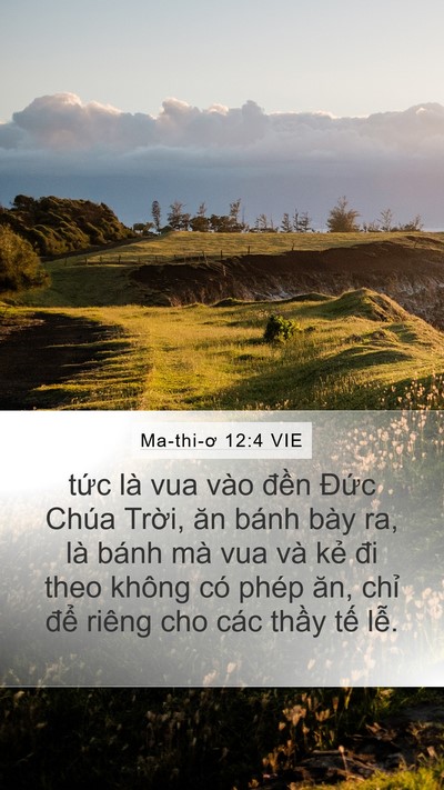 Ma-thi-ơ 12:4 VIE Bible Verse Image